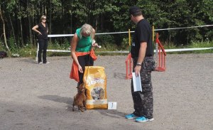 KSKK:n supermölli 2015 Taina Lahtinen & Roope